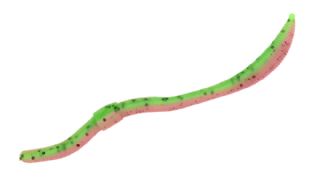 Spro Freestyle Twitch Worm 10.6cm - 